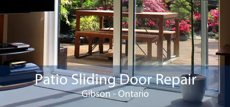 Patio Sliding Door Repair Gibson - Ontario