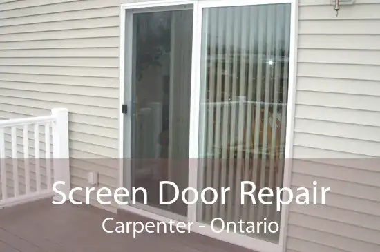 Screen Door Repair Carpenter - Ontario