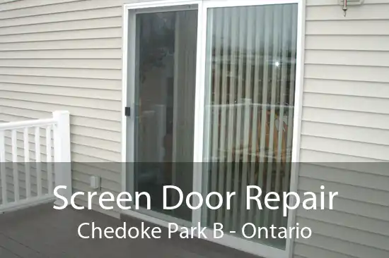 Screen Door Repair Chedoke Park B - Ontario