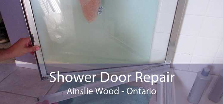 Shower Door Repair Ainslie Wood - Ontario