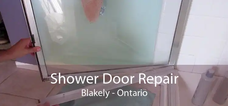 Shower Door Repair Blakely - Ontario