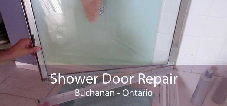 Shower Door Repair Buchanan - Ontario