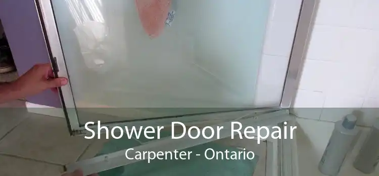 Shower Door Repair Carpenter - Ontario