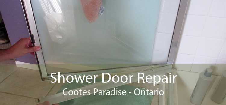Shower Door Repair Cootes Paradise - Ontario