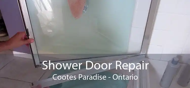 Shower Door Repair Cootes Paradise - Ontario