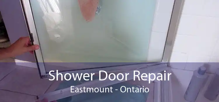Shower Door Repair Eastmount - Ontario