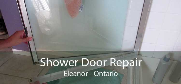 Shower Door Repair Eleanor - Ontario