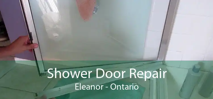 Shower Door Repair Eleanor - Ontario