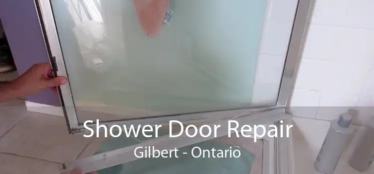 Shower Door Repair Gilbert - Ontario