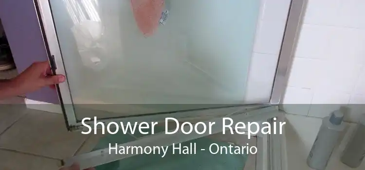 Shower Door Repair Harmony Hall - Ontario