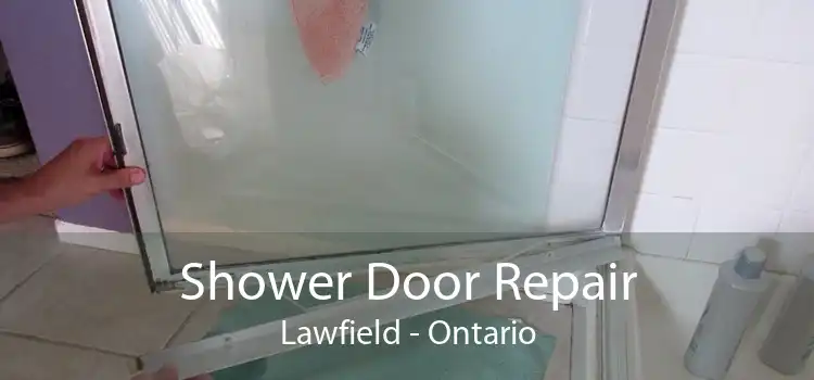 Shower Door Repair Lawfield - Ontario