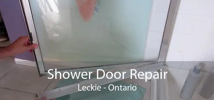 Shower Door Repair Leckie - Ontario