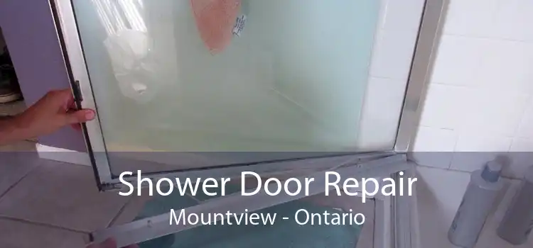 Shower Door Repair Mountview - Ontario