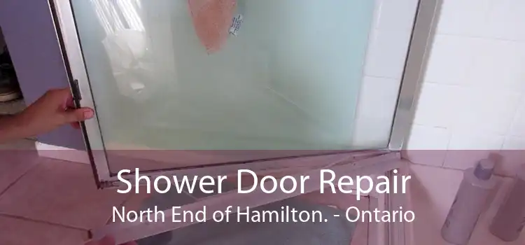 Shower Door Repair North End of Hamilton. - Ontario