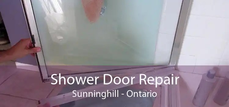 Shower Door Repair Sunninghill - Ontario