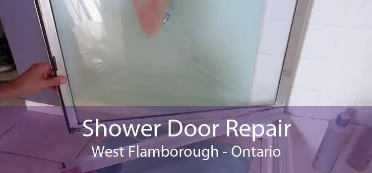 Shower Door Repair West Flamborough - Ontario