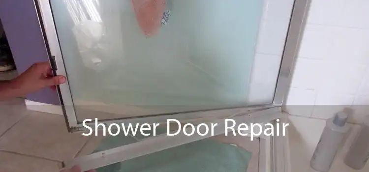 Shower Door Repair 