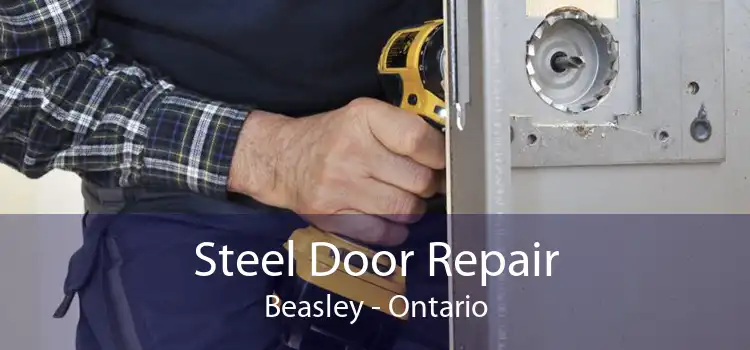 Steel Door Repair Beasley - Ontario