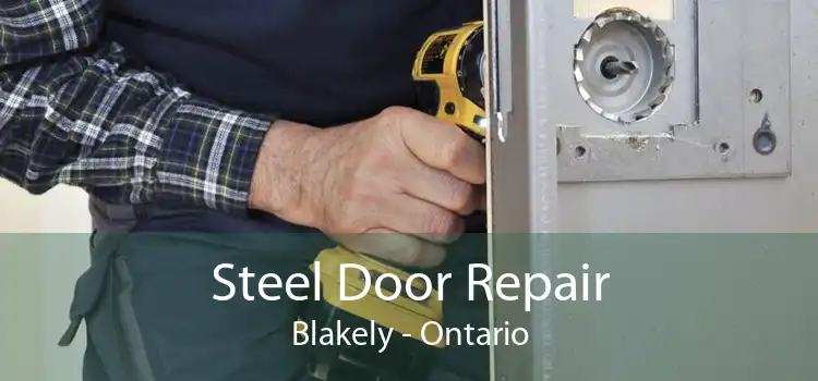 Steel Door Repair Blakely - Ontario
