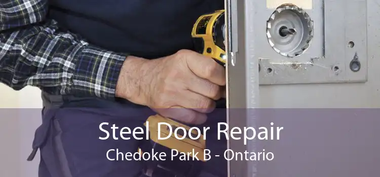 Steel Door Repair Chedoke Park B - Ontario
