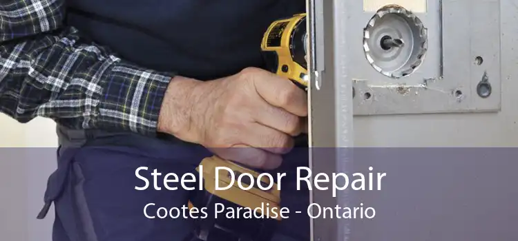 Steel Door Repair Cootes Paradise - Ontario