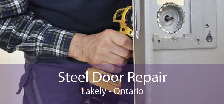 Steel Door Repair Lakely - Ontario