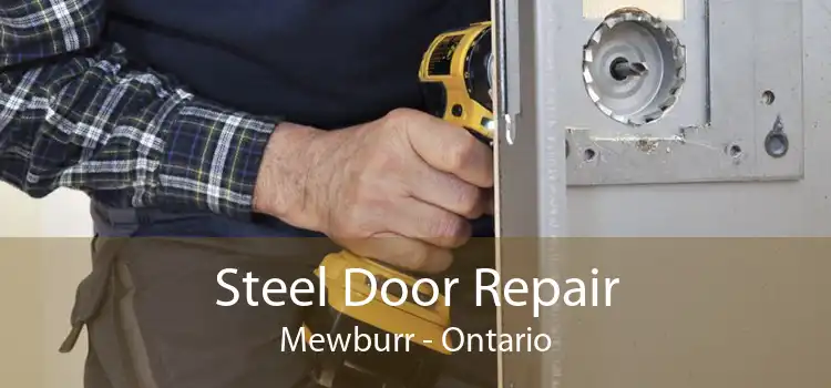 Steel Door Repair Mewburr - Ontario