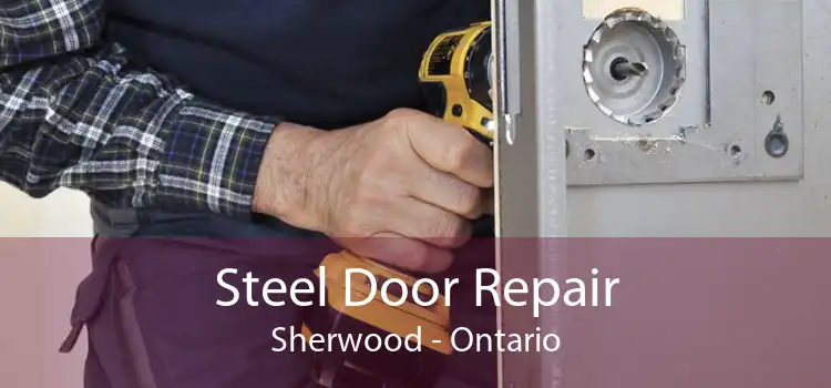 Steel Door Repair Sherwood - Ontario