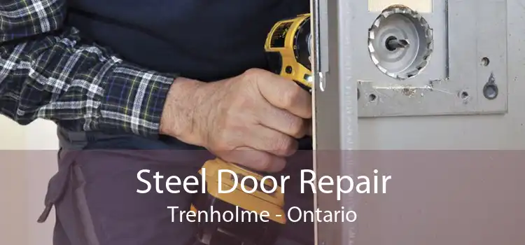 Steel Door Repair Trenholme - Ontario