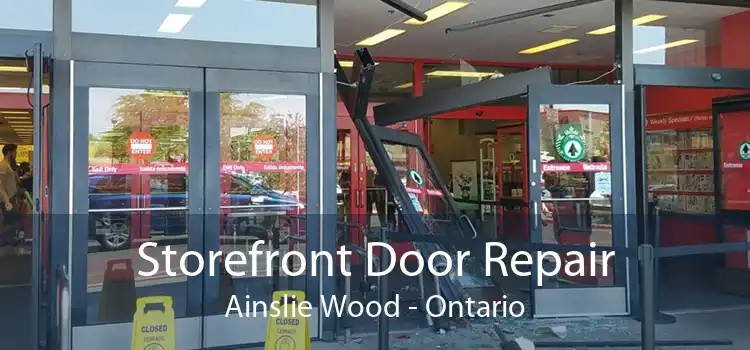 Storefront Door Repair Ainslie Wood - Ontario