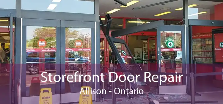Storefront Door Repair Allison - Ontario