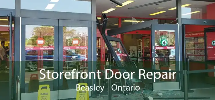 Storefront Door Repair Beasley - Ontario