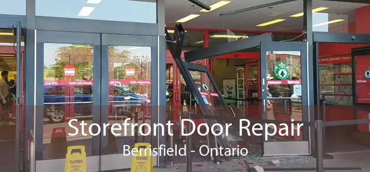 Storefront Door Repair Berrisfield - Ontario