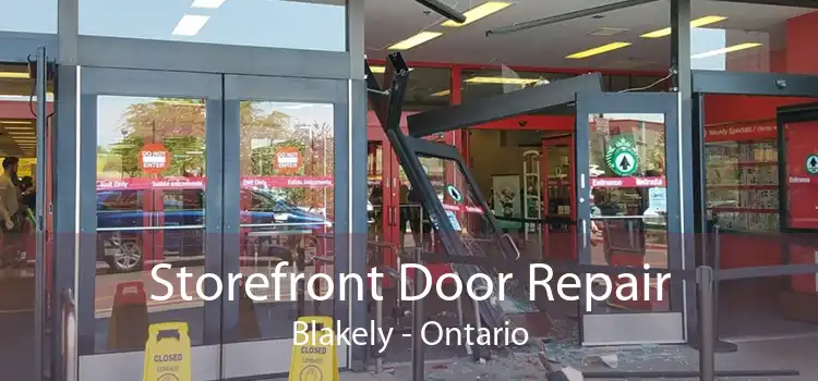 Storefront Door Repair Blakely - Ontario