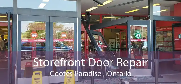 Storefront Door Repair Cootes Paradise - Ontario
