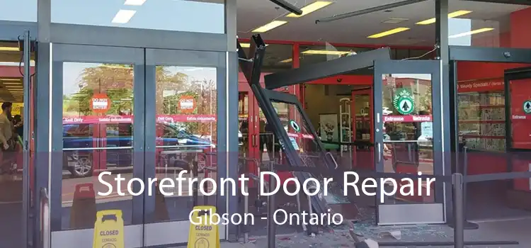 Storefront Door Repair Gibson - Ontario