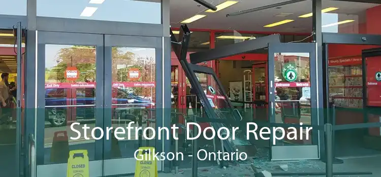 Storefront Door Repair Gilkson - Ontario
