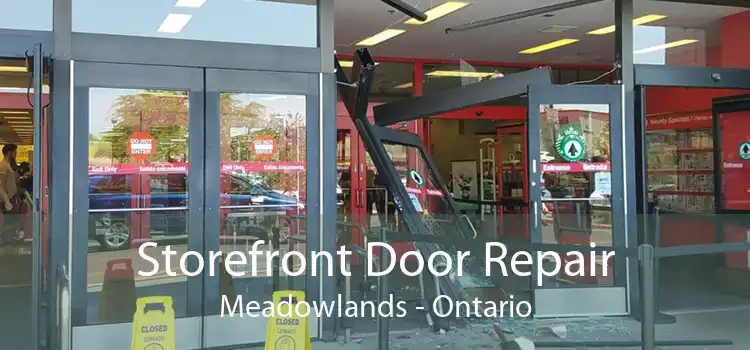 Storefront Door Repair Meadowlands - Ontario