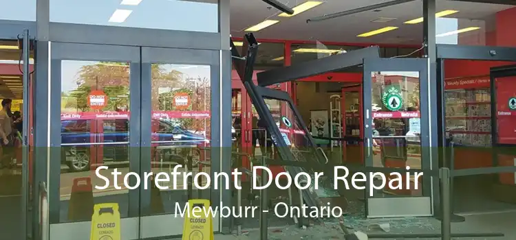 Storefront Door Repair Mewburr - Ontario