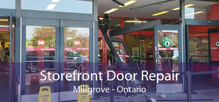 Storefront Door Repair Millgrove - Ontario