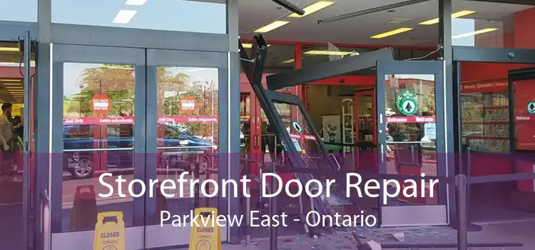 Storefront Door Repair Parkview East - Ontario