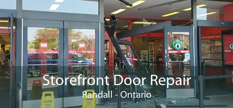 Storefront Door Repair Randall - Ontario